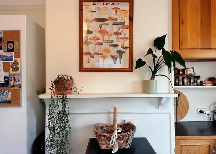 Enchanting Vintage House At South Hobart